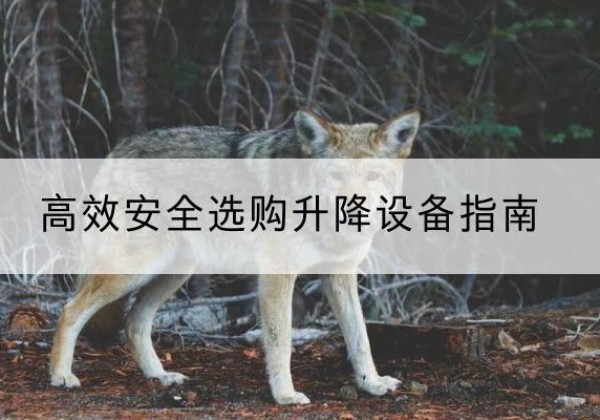 云和升降货梯厂家推荐-*安全选购升降设备指南