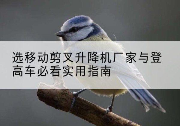 云和电动升降机厂家-选移动剪叉升降机厂家与登高车必看实用指南