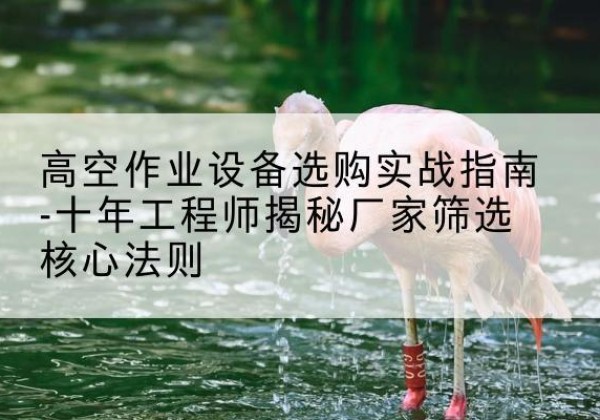 云和剪叉式升降机厂家-高空作业设备选购实战指南-十年工程师揭秘厂家筛选核心法则